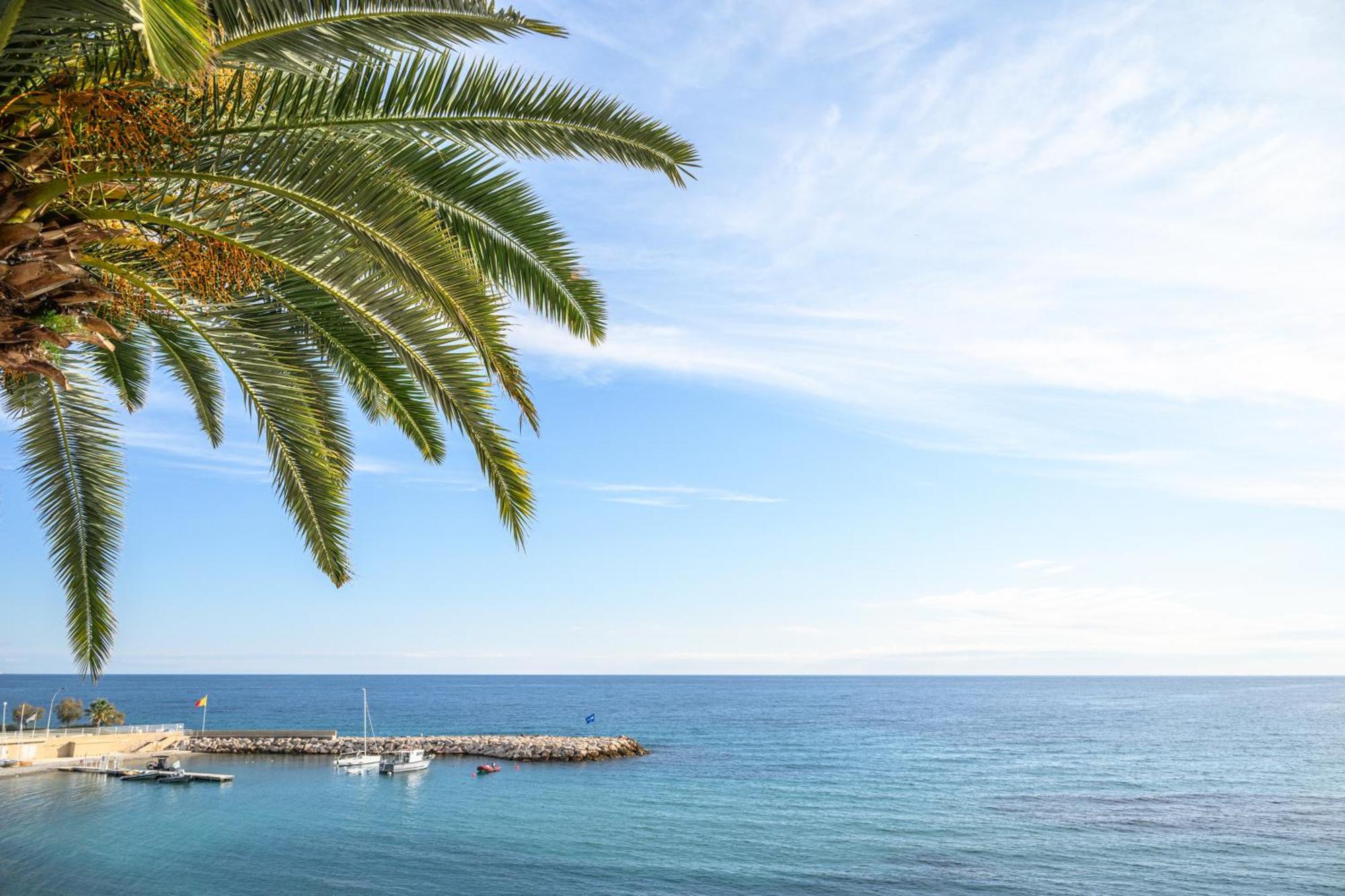 Le Coq Ligures - Air Conditioning - Seafront - Wifi Roquebrune-Cap-Martin Extérieur photo